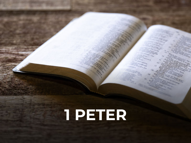 1 Peter 2:4-10